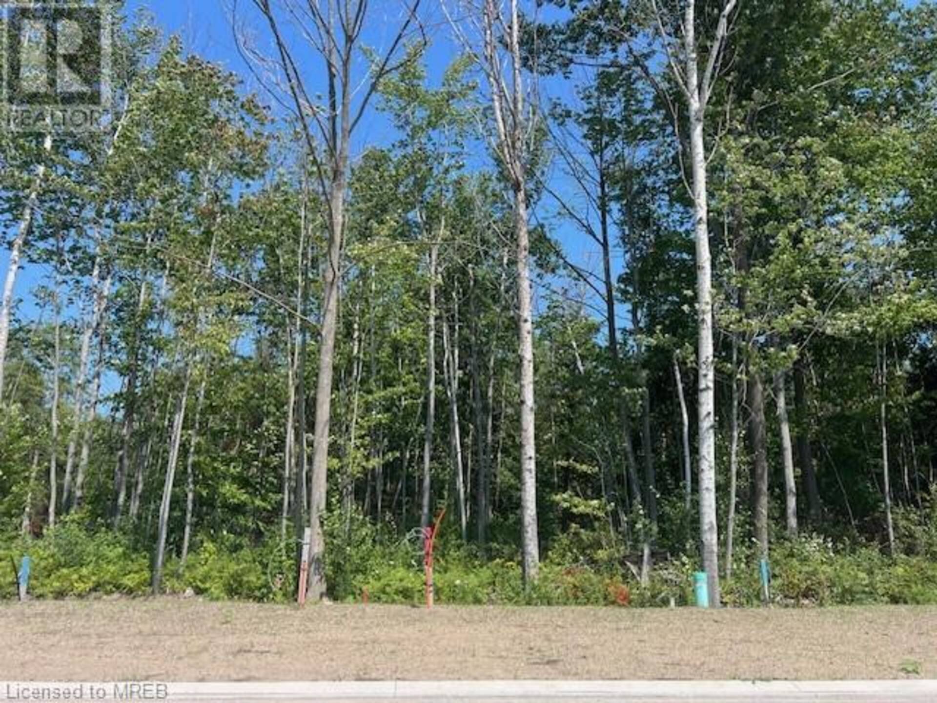 LOT 77 MAPLESIDE Drive Wasaga Beach