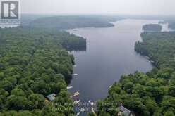 1207 ANST LAKE WAO North Kawartha