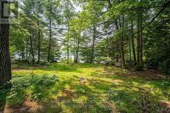 1207 ANST LAKE WAO North Kawartha