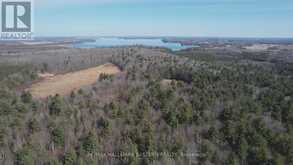 3386 ELM TREE ROAD Kawartha Lakes 