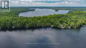 517 RENWICK ROAD North Kawartha