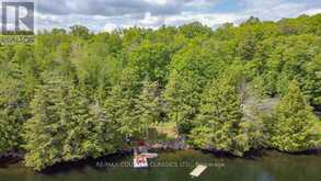 517 RENWICK ROAD North Kawartha