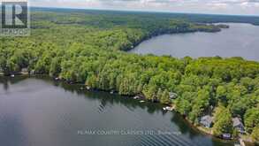 517 RENWICK ROAD North Kawartha