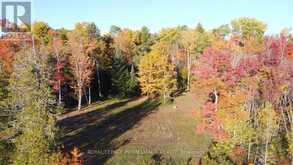 CON 13 PTLT 30 TURTLE LAKE LANE North Frontenac