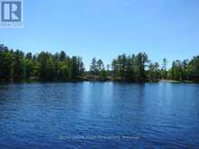 0 HORSESHOE ISLAND North Kawartha