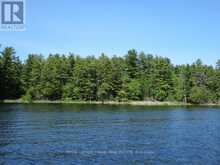 0 HORSESHOE ISLAND North Kawartha