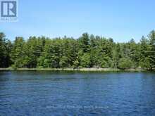 0 HORSESHOE ISLAND North Kawartha