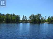 0 HORSESHOE ISLAND North Kawartha