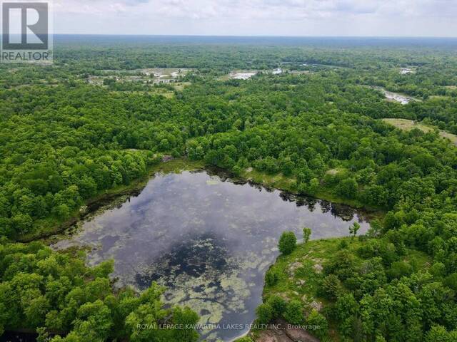 0 BLACK RIVER ROAD Kawartha Lakes Ontario