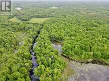 0 BLACK RIVER ROAD Kawartha Lakes