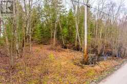 LT 25 WOODWORTH DRIVE Kawartha Lakes