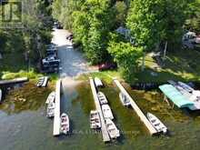 66 DEWEY'S ISLAND Kawartha Lakes