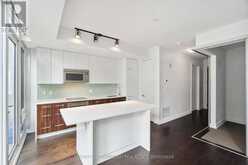 212 - 111 CHAMPAGNE AVENUE S Ottawa