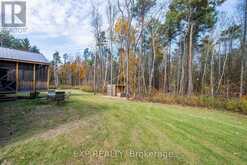 381 CLARKSON ROAD Cramahe