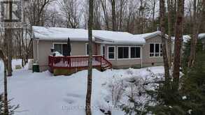 233 DOC EVANS ROAD North Kawartha