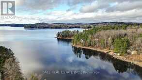 18 - 1579 ANSTRUTHER LAKE ROAD North Kawartha