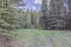 231175 Bracken Road Bragg Creek