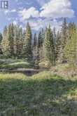 231175 Bracken Road Bragg Creek