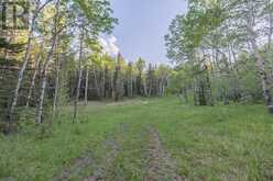 231175 Bracken Road Bragg Creek