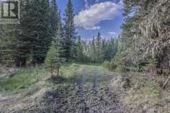 231175 Bracken Road Bragg Creek