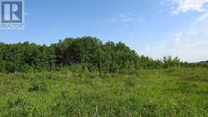 79.41 Acres SE-13-22-3W5 Rural Foothills