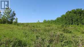 79.41 Acres SE-13-22-3W5 Rural Foothills