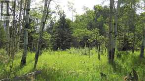 79.41 Acres SE-13-22-3W5 Rural Foothills