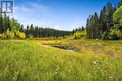 64 Hawk's Landing Drive Rural Foothills