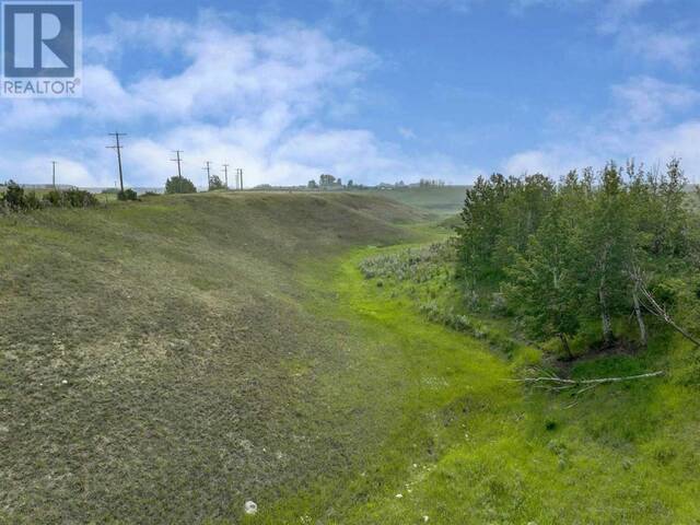 16th Rural Foothills Alberta