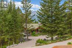 21 blue grouse Ridge Canmore