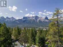 21 blue grouse Ridge Canmore