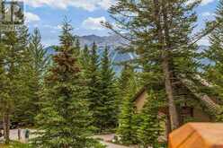 21 blue grouse Ridge Canmore