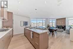 202, 128 Waterfront Court SW Calgary