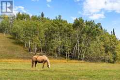 54 Cowboy Trail Rural Foothills