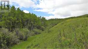 10, 290254 96 Street W Rural Foothills