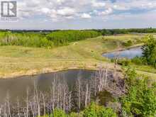 113 Silverhorn Ridge Rural Rocky View