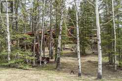 44 Echlin Drive Bragg Creek