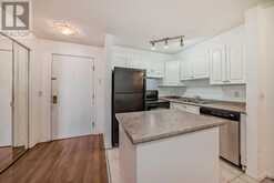 217, 4000 Somervale Court SW Calgary