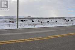 Range Road 14 Big Hill Springs Rural Rocky View