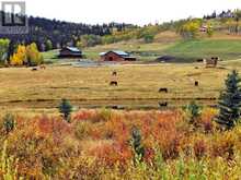 21 Chinook Ridge Rural Foothills