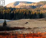 21 Chinook Ridge Rural Foothills