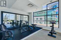 2507, 310 12 Avenue SW Calgary