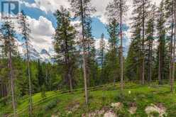 446 Mountain Tranquility Place Canmore