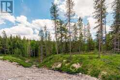 446 Mountain Tranquility Place Canmore