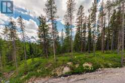 446 Mountain Tranquility Place Canmore