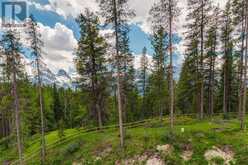 446 Mountain Tranquility Place Canmore