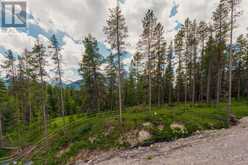 446 Mountain Tranquility Place Canmore