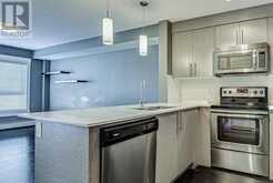 7306, 302 Skyview Ranch Drive NE Calgary