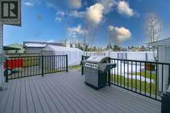 236 Abadan Place NE Calgary