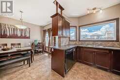 156 Saddlebrook Circle NE Calgary